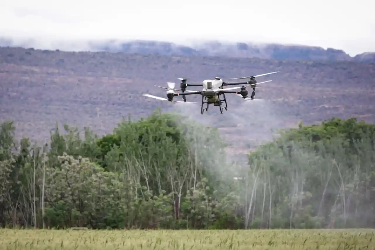 Drone pertanian menyemprotkan cairan di lahan persawahan hijau