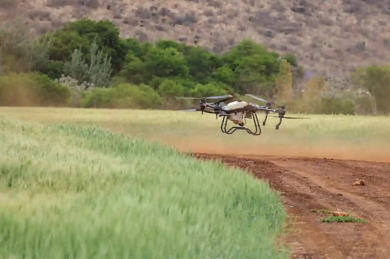 Drone pertanian menyemprotkan cairan di atas perkebunan hijau