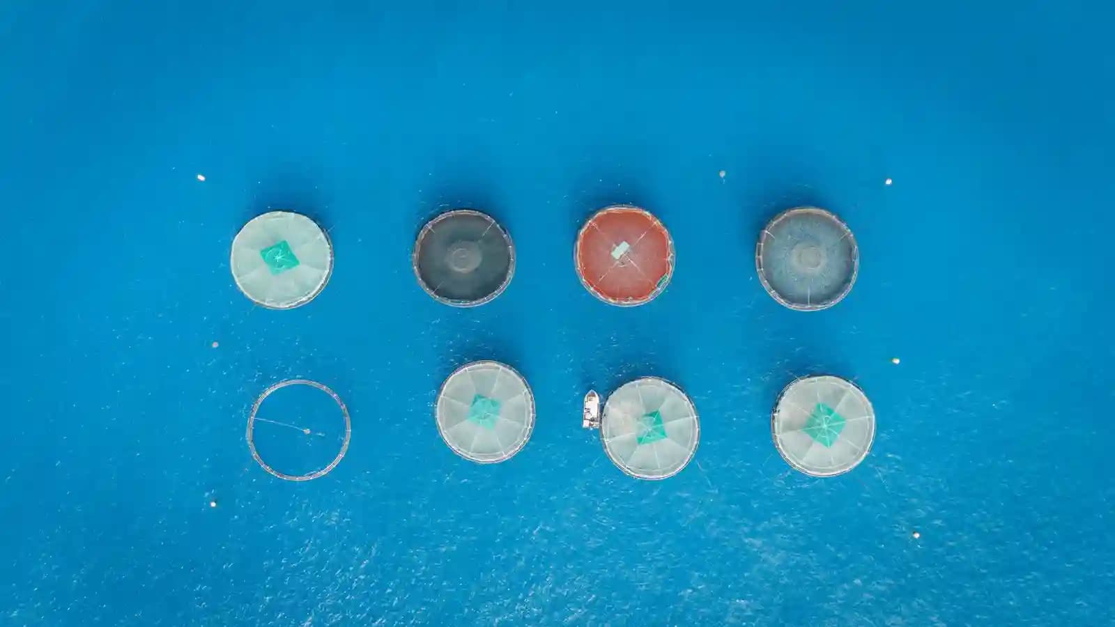 Drone terbang di atas tambak ikan dengan latar belakang perahu nelayan