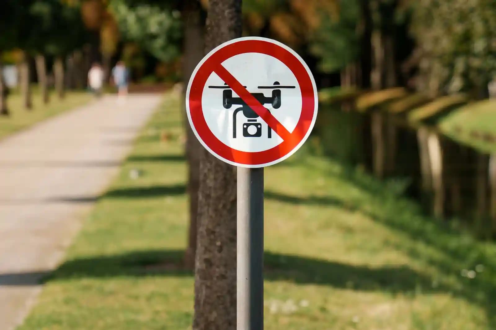 Pilot drone profesional mengoperasikan drone BVLOS di area perkebunan yang luas.