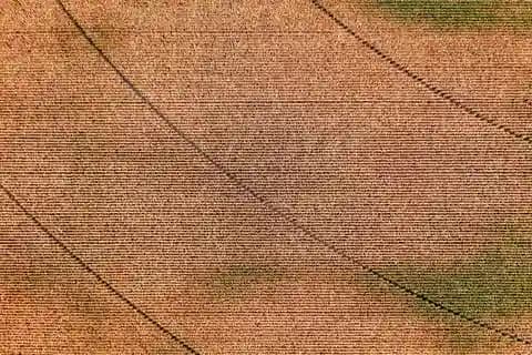 Peta NDVI berwarna-warni yang menunjukkan kesehatan vegetasi dari citra drone.