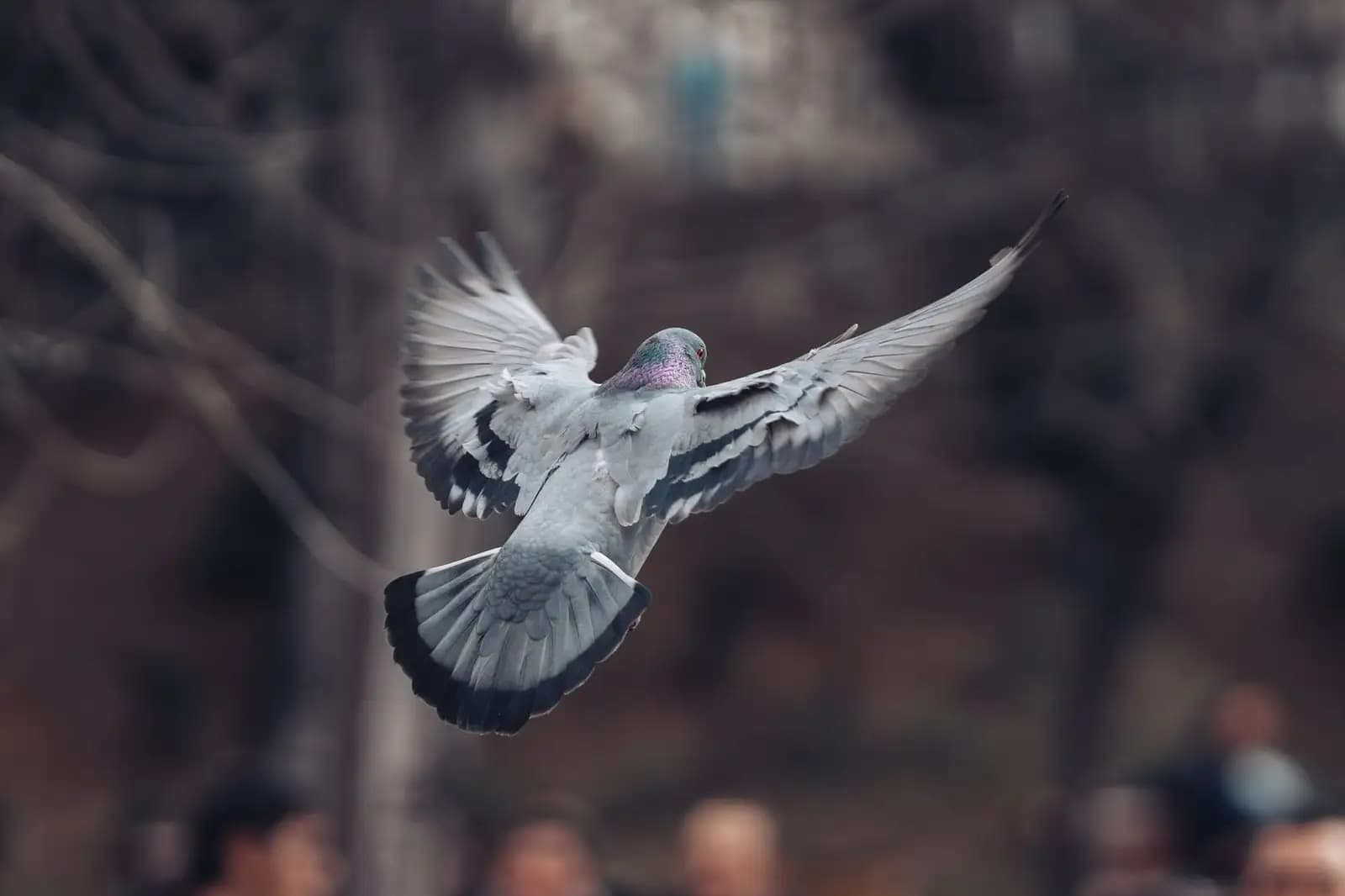 Ilustrasi drone ornithopter yang terbang mirip burung dengan sayap mengepak