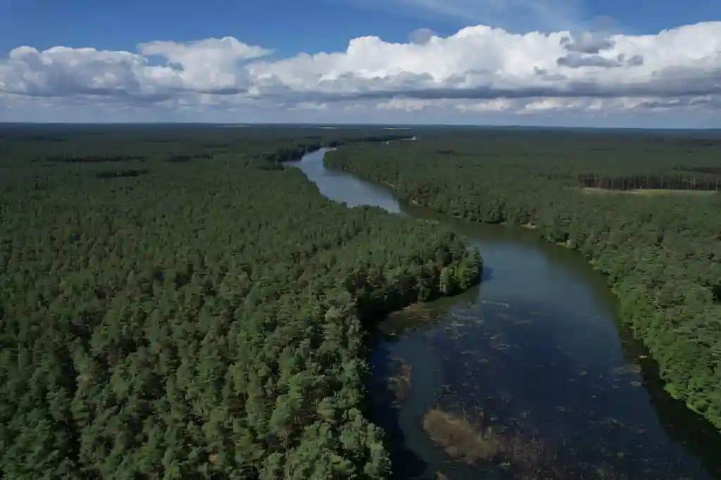 Drone terbang di atas hutan tropis yang hijau di kawasan konservasi