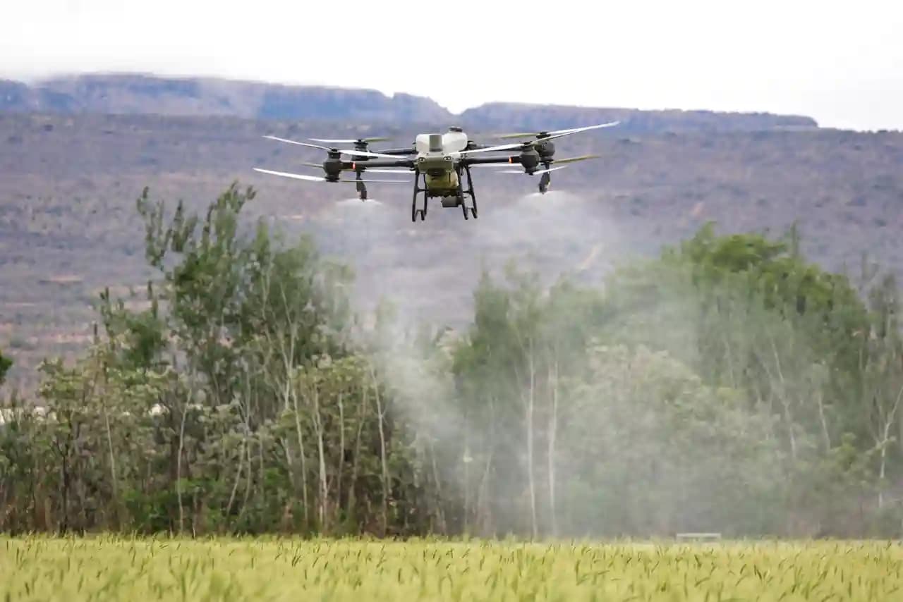 Drone pertanian menyemprotkan cairan di atas perkebunan sawit luas.