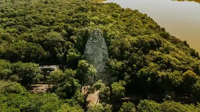 Drone LiDAR terbang di atas hutan lebat untuk pemetaan arkeologi