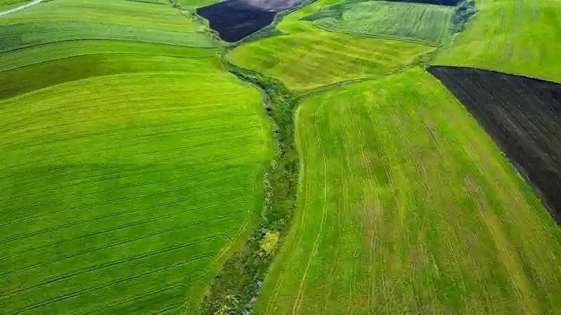 Drone DJI Mavic 3M terbang di atas lahan pertanian hijau
